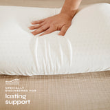 The Plush Pillow
