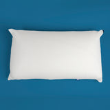 The Support Pillow