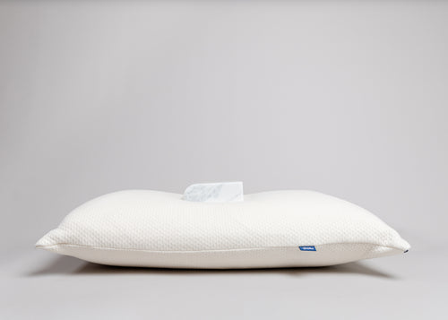 The Support Pillow